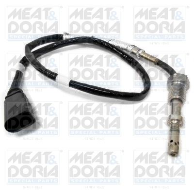 Sensor, exhaust gas temperature